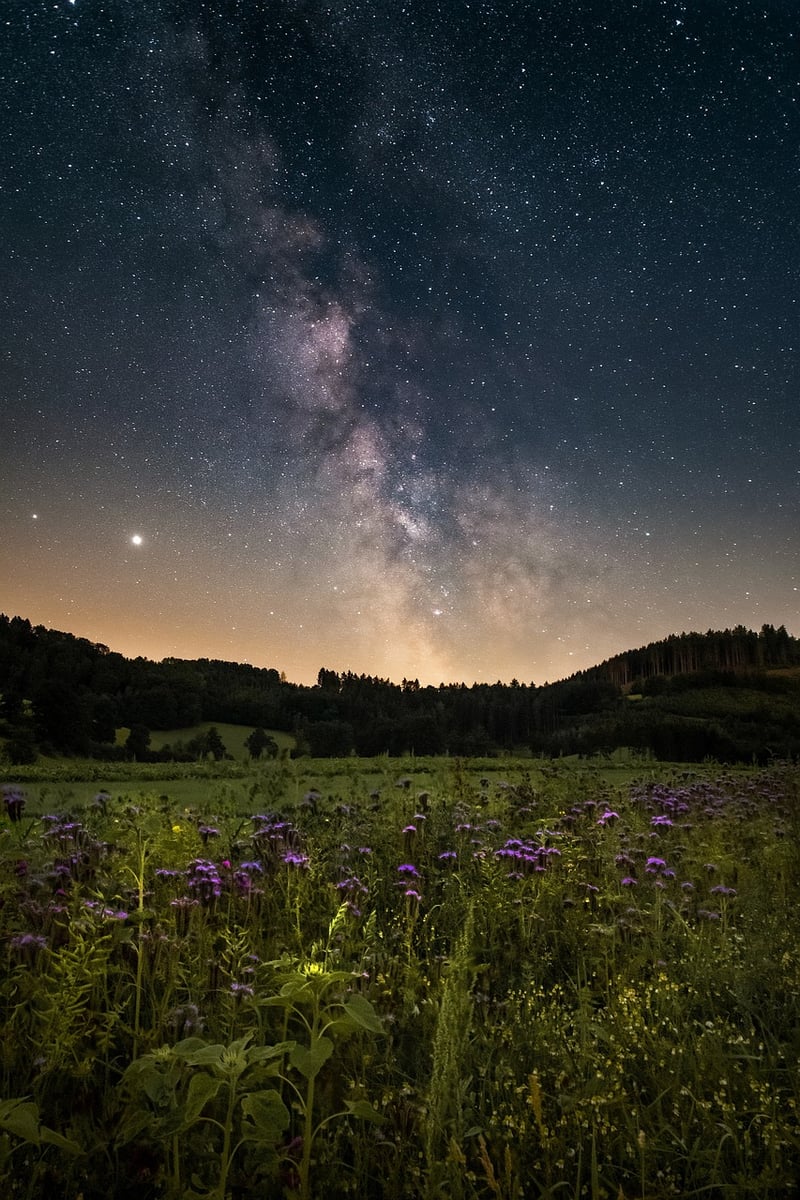 Galactic Romance